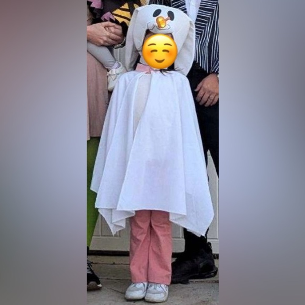 Nightmare before christmas Zero toddler costume